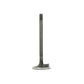 ENE10-0226-AIC Intake Valve