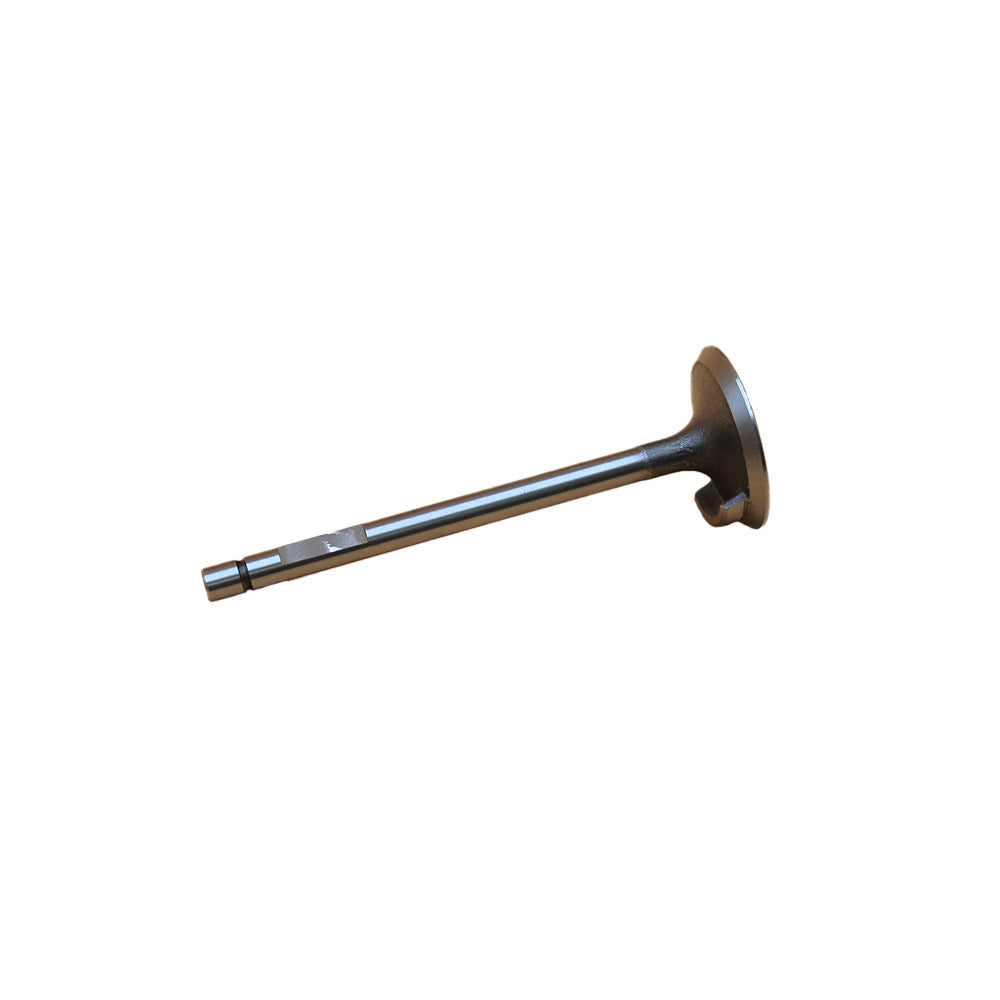 Intake Valve Fits White Oliver Replaces 30-3043223