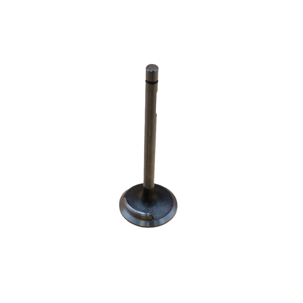 TX10136 Intake Valve Fits Long 2360 2360DTC 2460 2460DTC 2460SD 2460SD-DTC 2510