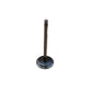 Intake Valve Fits Allis Chalmers Replaces 72089585