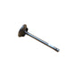 Intake Valve Fits Fiat Replaces 04802200