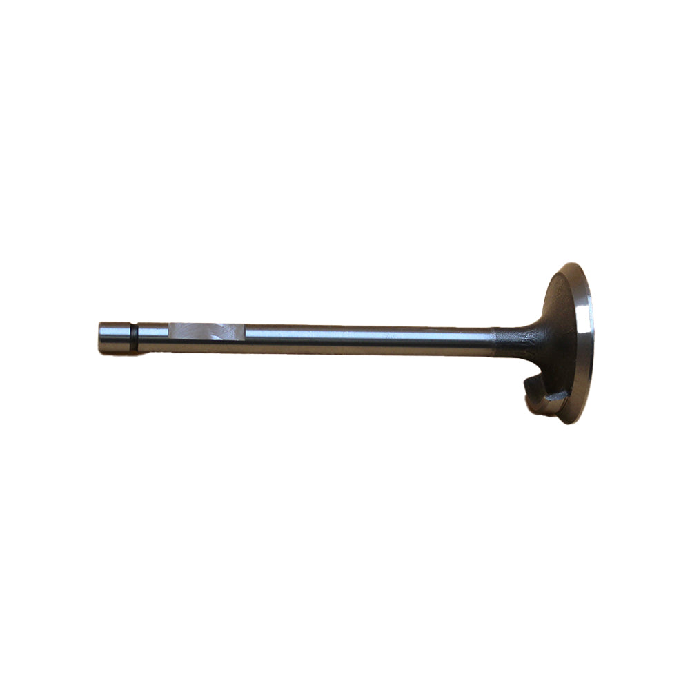 Intake Valve Fits White Oliver Replaces 30-3043223