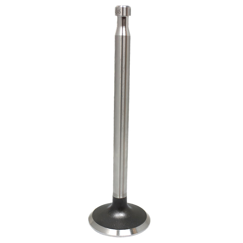 500301 Exhaust Valve Fits Ford/New Holland