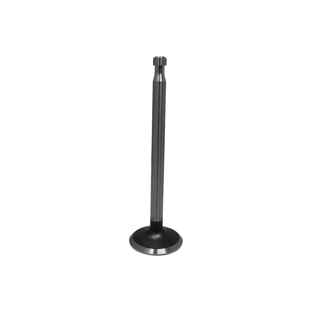 500301 Exhaust Valve Fits Ford/New Holland
