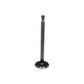 ENL80-0029 Exhaust Valve Fits Fiat