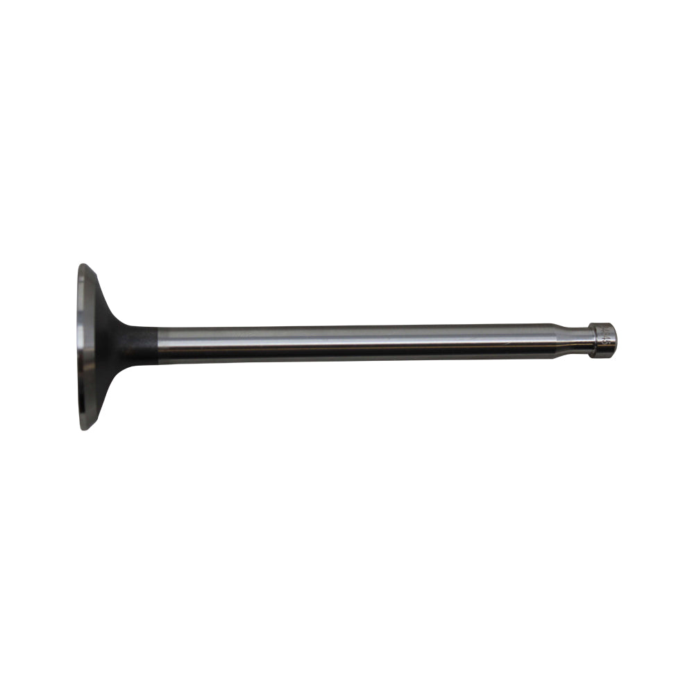 500301 Exhaust Valve Fits Ford/New Holland