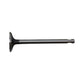 ENL80-0029 Exhaust Valve Fits Fiat