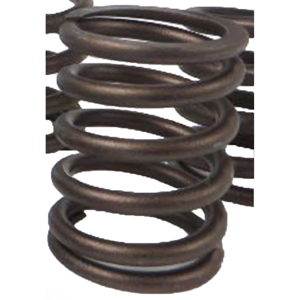 ENL80-0188-AIC Valve Spring