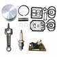 Engine Rebuild Kit Fits Kohler K241 K241AQS 216 Spark Plug 47 150 03-S Points
