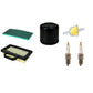 33926 Filters w/ Spark Plugs Fits Craftsman