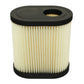 Air Filter Fits Tecumesh 36905 LEV100 LEV120 LV195EA OVRM105 OVRM120 LEV115