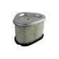 12 083 10 Air Filter Fits Sabre 17.542HS