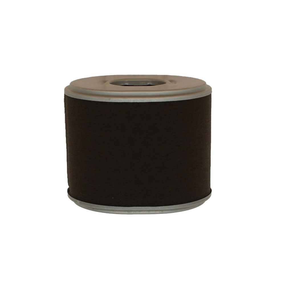 FIA60-0217-AIC Air Filter