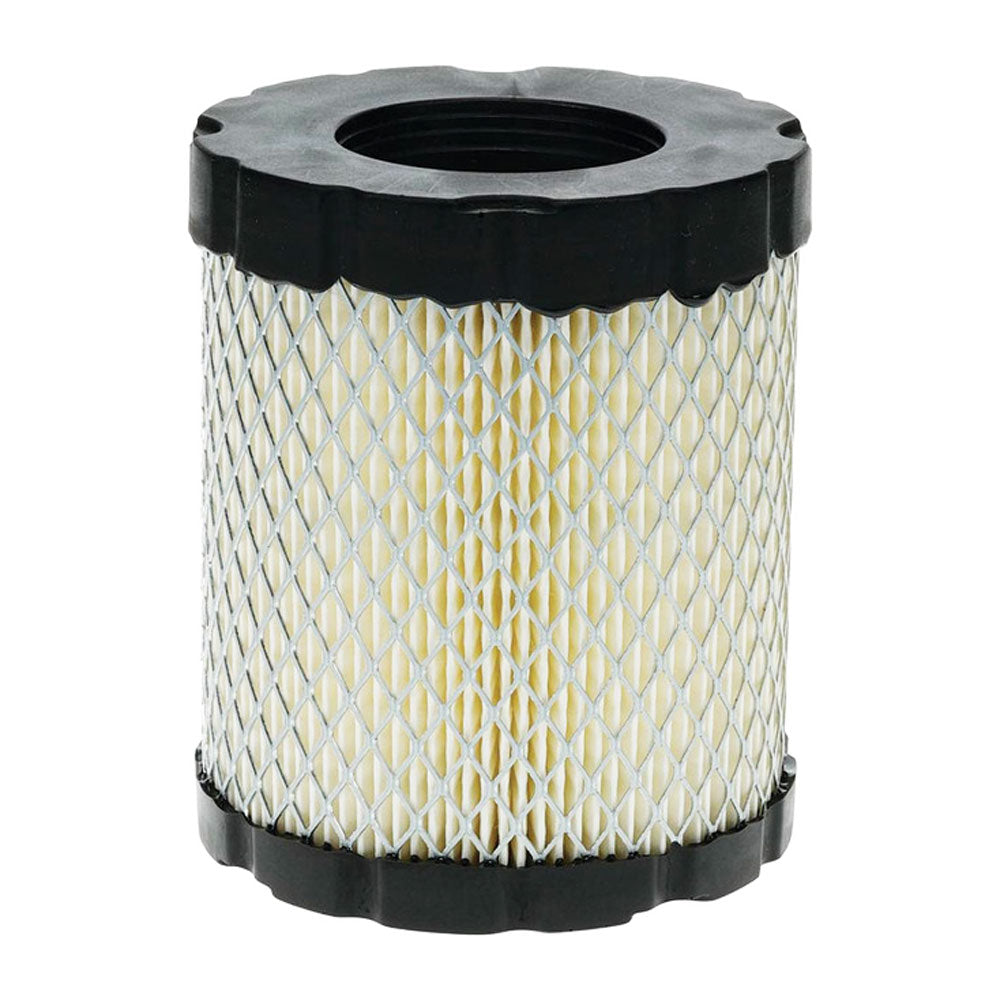 Air Filter Fits Briggs & Stratton Replaces 4250