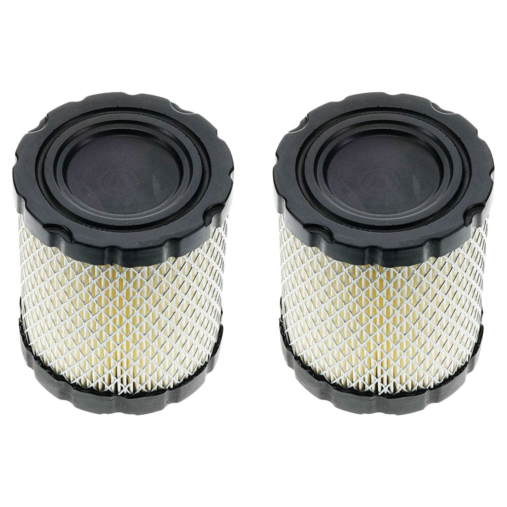 Qty 2: Air Filter Fits Briggs & Stratton Replaces 4250