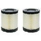 Qty 2: Air Filter Fits Briggs & Stratton Replaces 4250