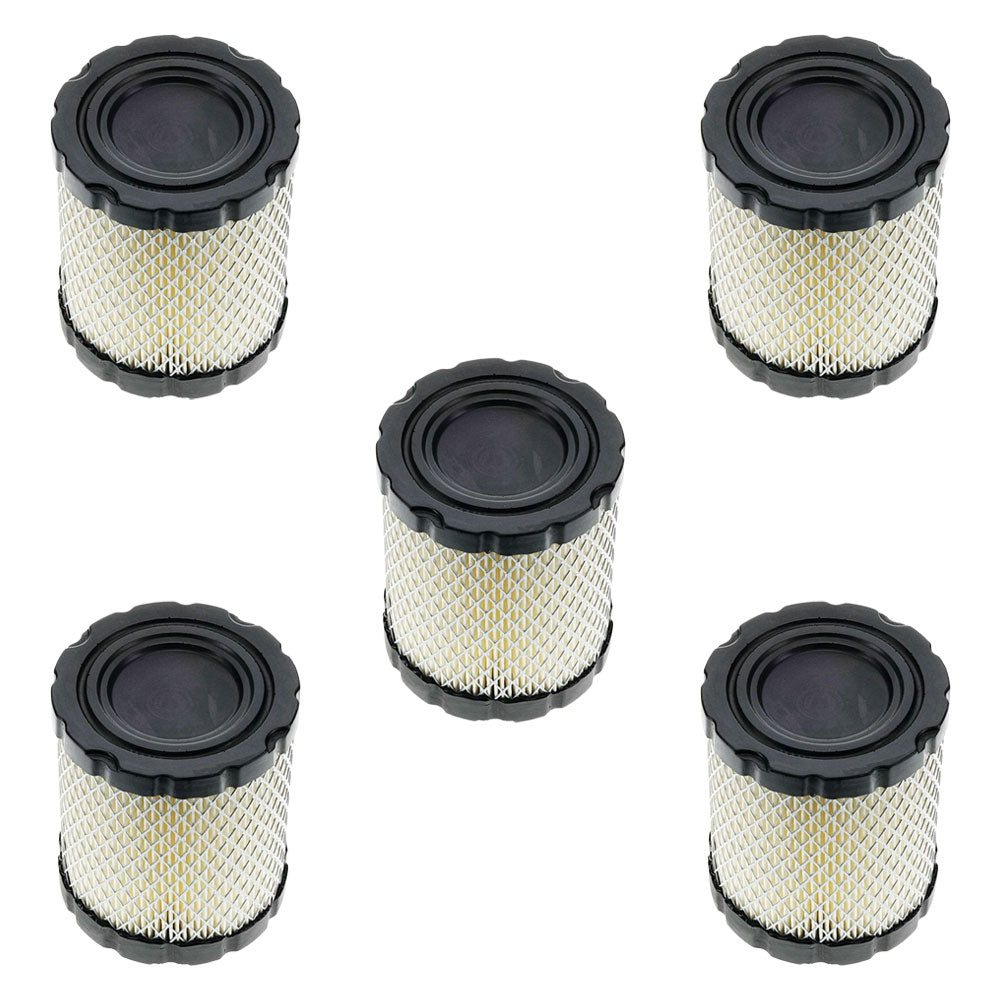Set of 5 Air Filter Fits Briggs and Stratton 4250 794935 798897