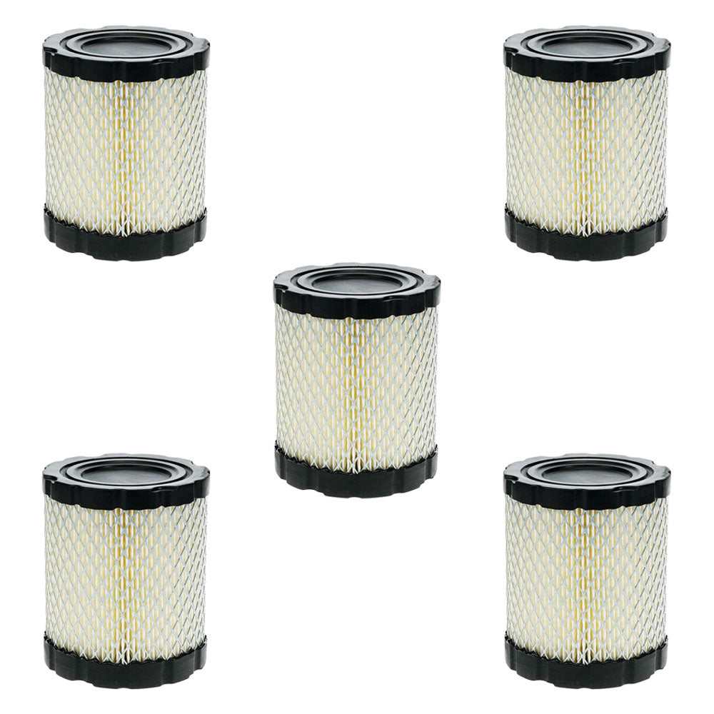 Set of 5 Air Filter Fits Briggs and Stratton 4250 794935 798897