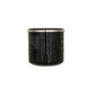 Oil Filter Fits Exmark 126-5234 120-4276 127-9222 LC1P92F-1 SV820/LC1P92F