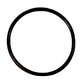FSG60-0028-AIC O-Ring