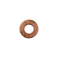 FSJ10-0015-AIC Injector Washer