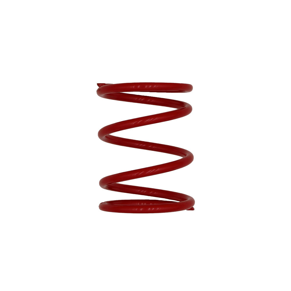 G1-1002 - Driven Clutch High Torque Power Spring