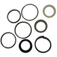 G109458 Skid Steer Lift Cylinder Seal Kit Fits Case 1845 1845B 1845C 1845S