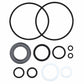 HYH10-0010-AIC Power Steering Cylinder Seal Kit