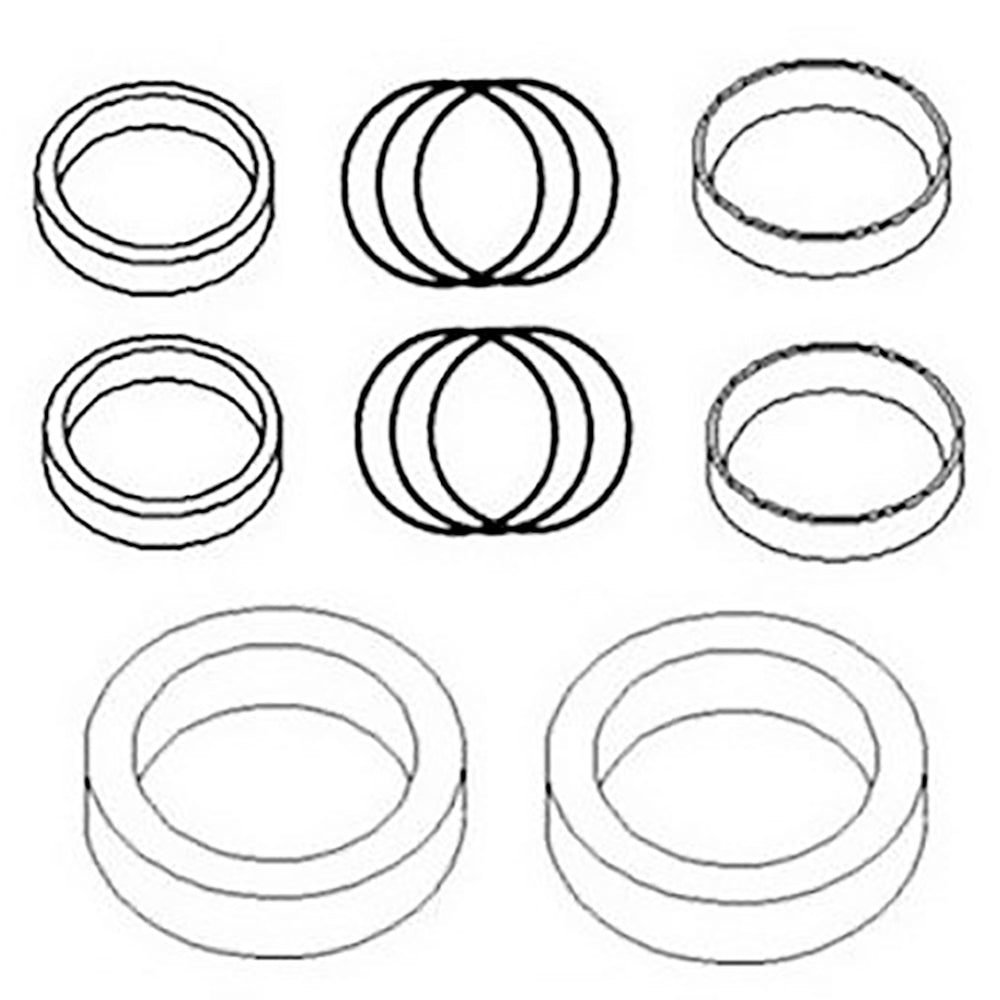 835833M92 Cylinder Seal Kit Fits Massey Ferguson