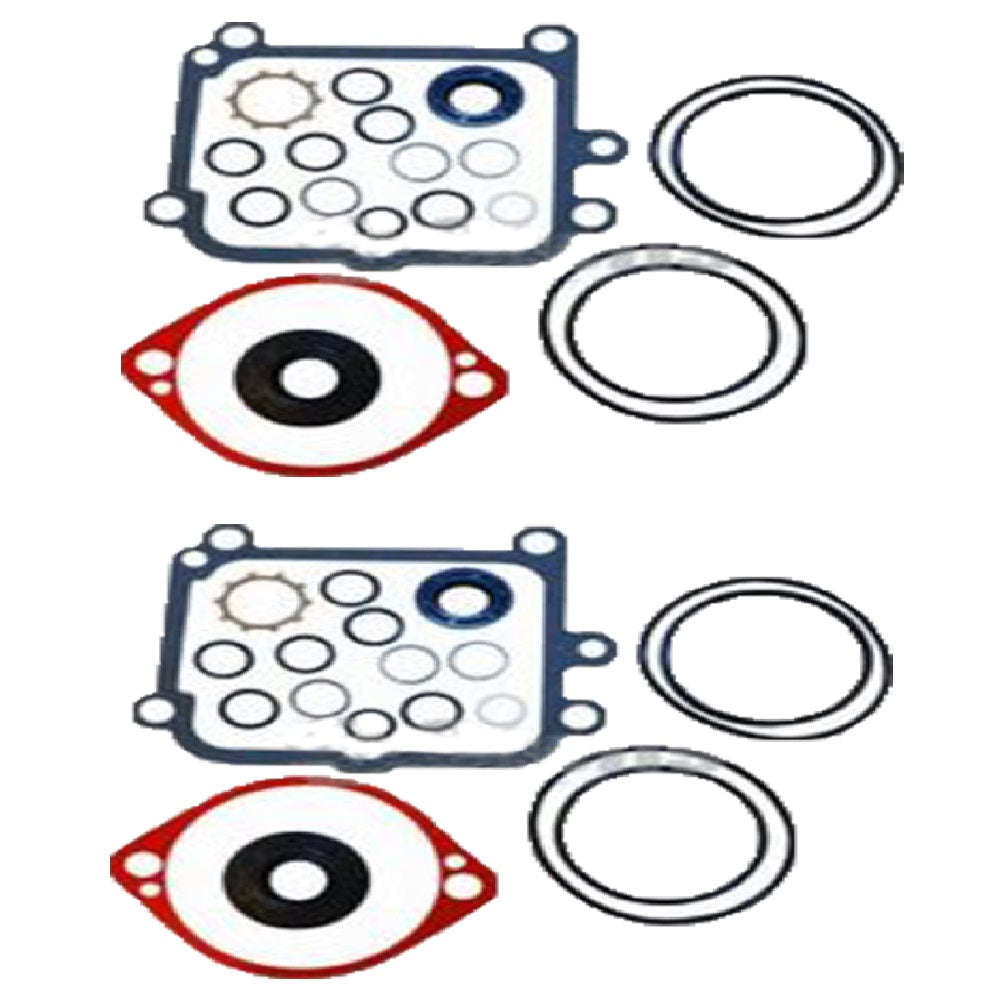2PK Overhaul Seal Kit for Hydro Gear 2513018 BDP-10L