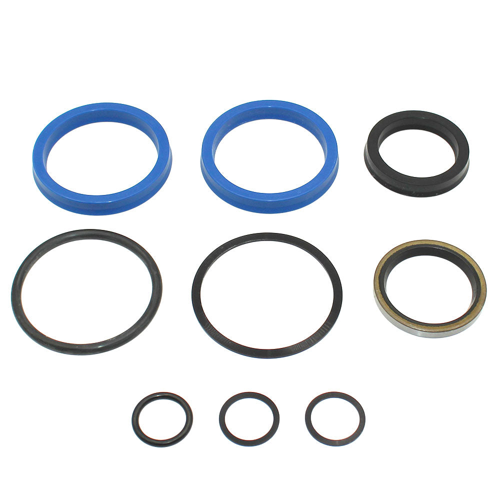 Seal Kit Fits Farmhand Replaces 1R3047