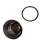 Thermostat & Gasket Fits David Brown Replaces K262879