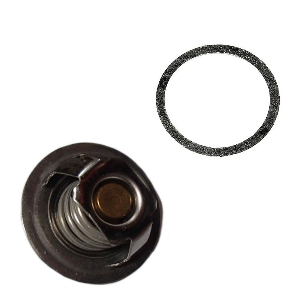 Thermostat & Gasket Fits David Brown Replaces K262879