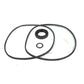 S.57972 Seal Kit, Hydraulic Pump, K962136 Fits David Brown