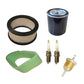 Premium Service Tune Up Kit Fits Cub Cadet 1810 1811 1812 1860 1861 1862 1872