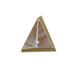 L40919-AIC Plastic Hood Ornament