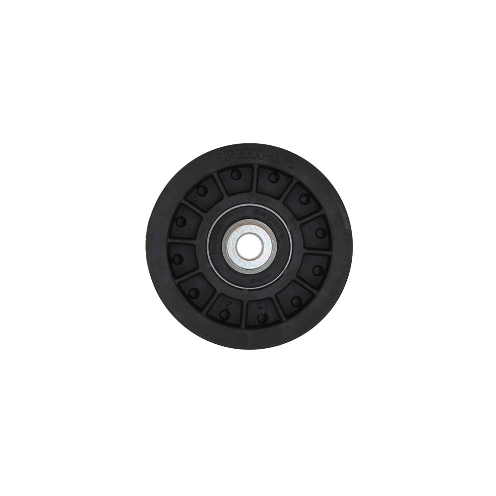 LAE40-0020-AIC Flat Idler Pulley