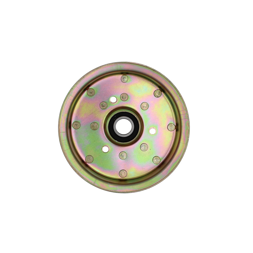 LAE40-0037-AIC Flat Idler Pulley