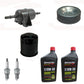 AM101001 Filters w/ Spark Plugs & Oil Fits John Deere Various