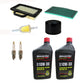 Engine Maintenance Kit Fits John Deere LG263 LA135 LA145 Z425 D130 D140