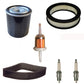 25 Engine Maintenance Kit Fits Kohler M18 M20