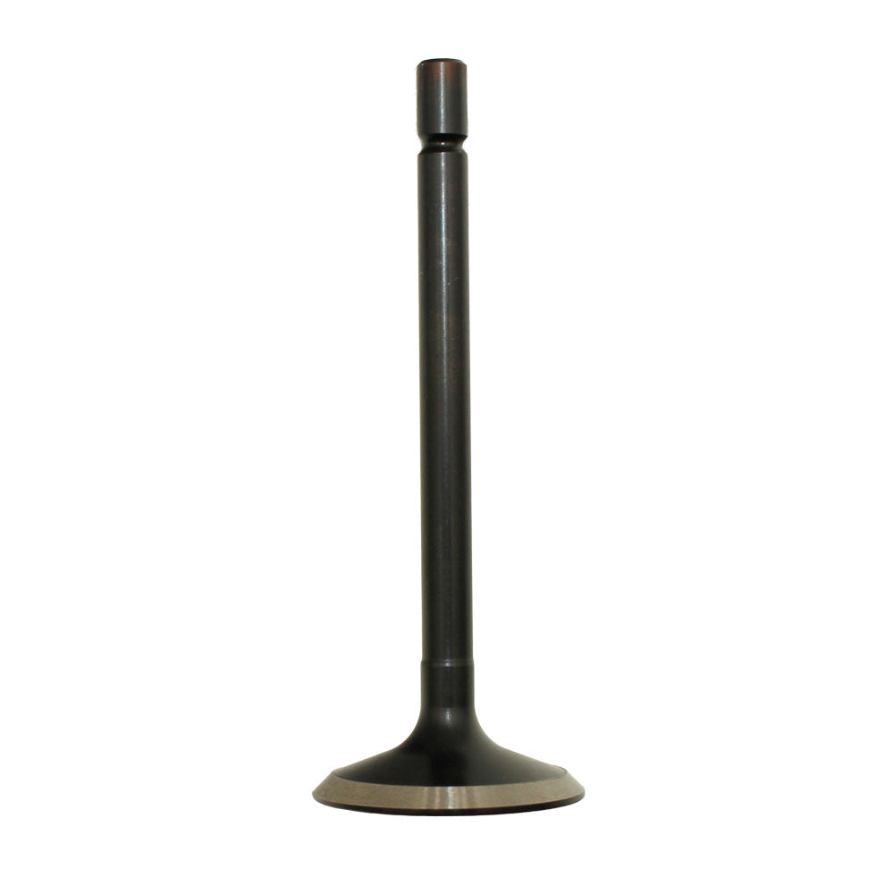 SBA120166350 Intake Valve Fits Ford 1920 3415