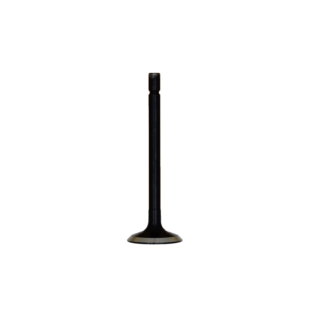 P120176360 Exhaust Valve Fits Ford/New Holland
