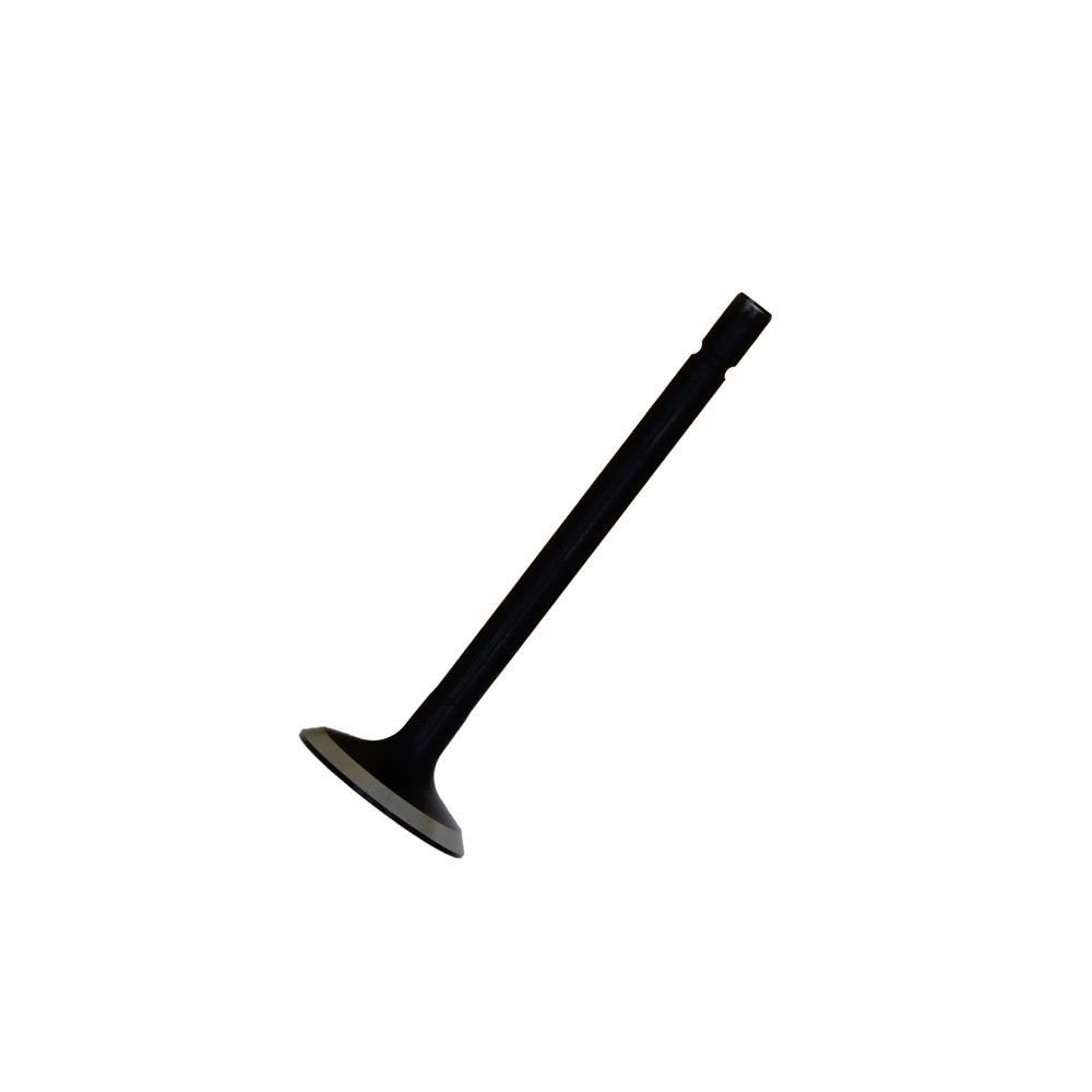 P120176360 - Exhaust Valve