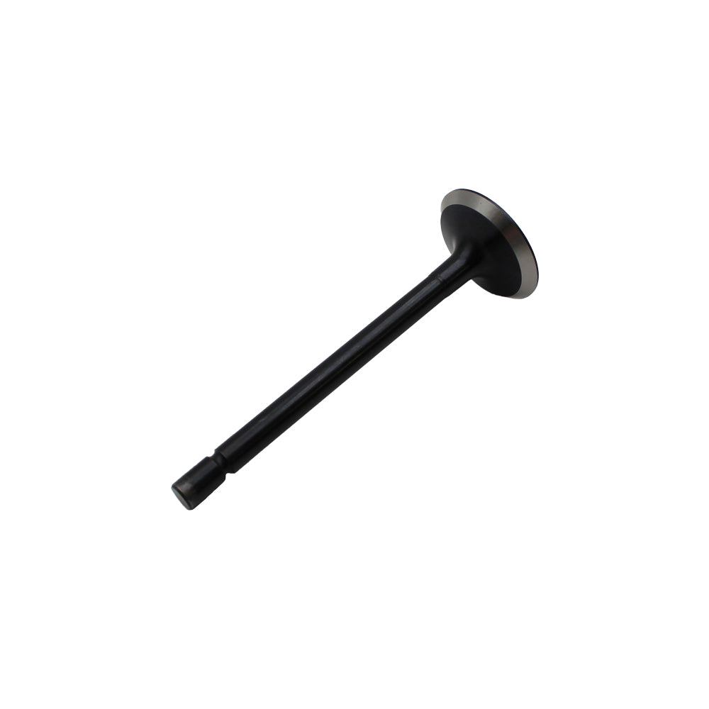 Exhaust Valve Fits Case Replaces 120176360