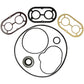 Pump Seal Kit Fits Massey Ferguson Replaces PHPS-KIT
