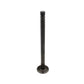 107299A Intake Valve - 1.250" Fits White 2-63