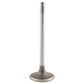 Intake Valve Fits Massey Ferguson Replaces 3802005