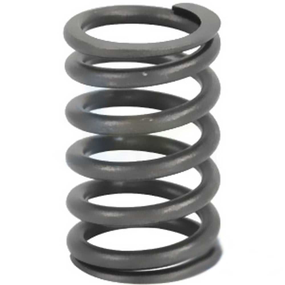 R26125 - Valve Spring