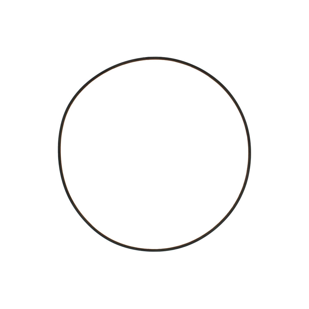 R50704-AIC Brake Disc Sealing Washer